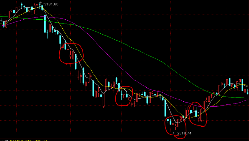 史经纬、郭丹将担任成都世运会开幕式中国体育代表团旗手